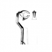 Wisdom Extracting Forceps